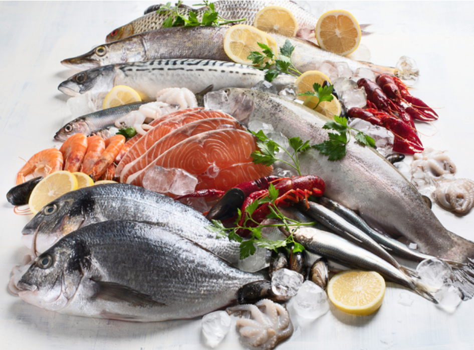 大物（タイ・カンパチ・ブリ・ヒラメ・シマアジ等）